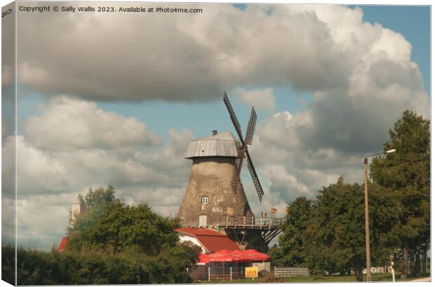 A Windmill beside the Highway Canvas Print by Sally Wallis