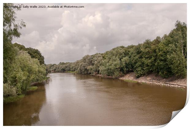 Emajogi River Estonia Print by Sally Wallis