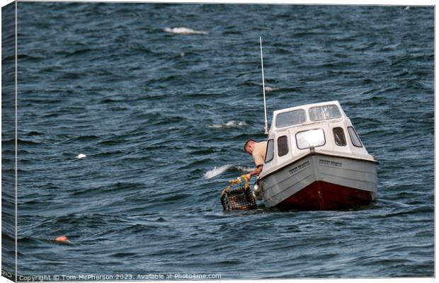 lobster fisherman at work in Moray Firth Canvas Print by Tom McPherson