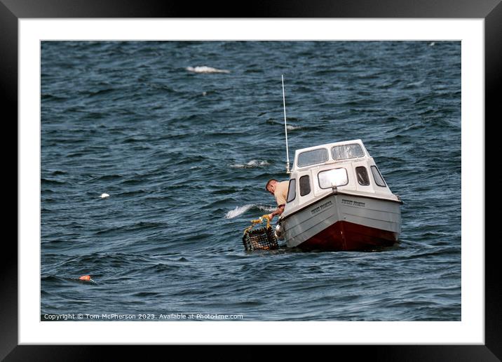  lobster fisherman at work in Moray Firth Framed Mounted Print by Tom McPherson