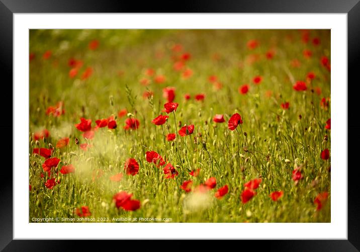 summer Poppy  field Framed Mounted Print by Simon Johnson