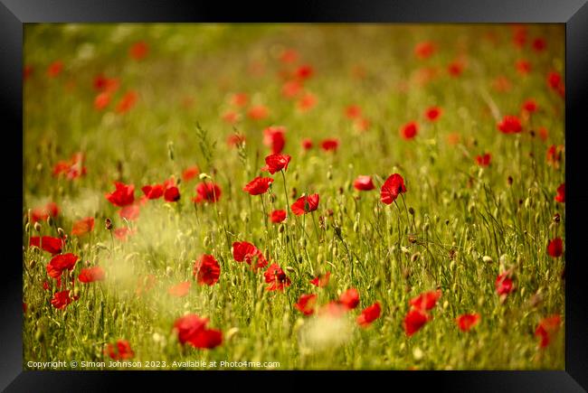 summer Poppy  field Framed Print by Simon Johnson