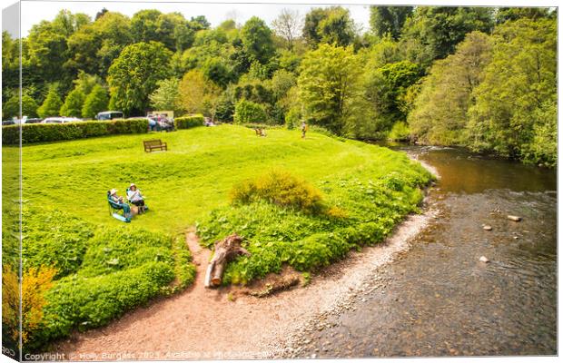 River Teviot, a nice summer day picnic by the river enjoying the sunshine at Jedburgh  Canvas Print by Holly Burgess