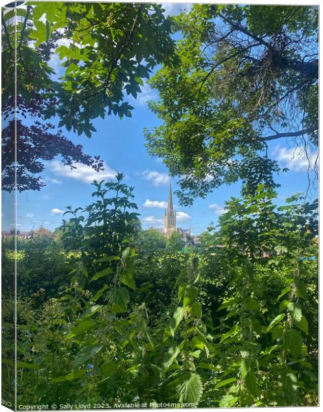 Norwich Cathedral, a summery view Canvas Print by Sally Lloyd