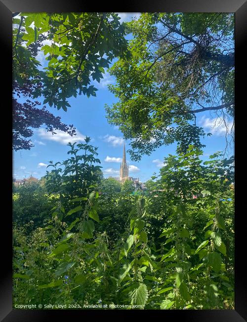 Norwich Cathedral, a summery view Framed Print by Sally Lloyd
