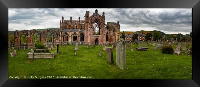 'Relics of Faith: Melrose Abbey, Scotland' Framed Print by Holly Burgess