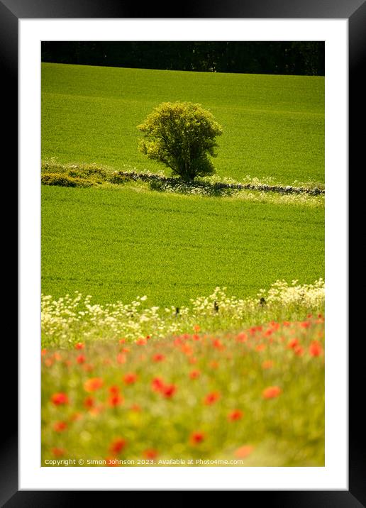 Cotswold Poppies Framed Mounted Print by Simon Johnson