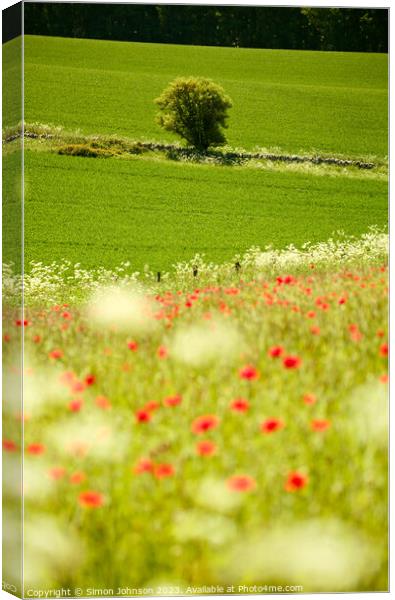  Tree and poppies  Canvas Print by Simon Johnson