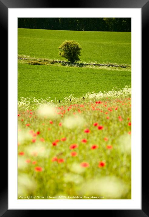  Tree and poppies  Framed Mounted Print by Simon Johnson