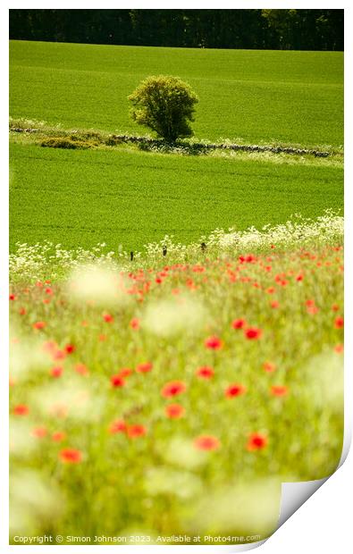  Tree and poppies  Print by Simon Johnson