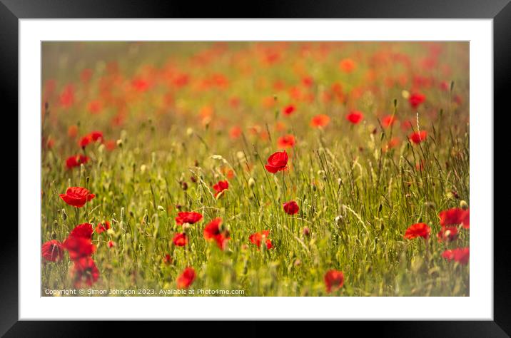 Poppy field  Framed Mounted Print by Simon Johnson