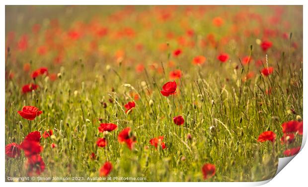 Poppy field  Print by Simon Johnson