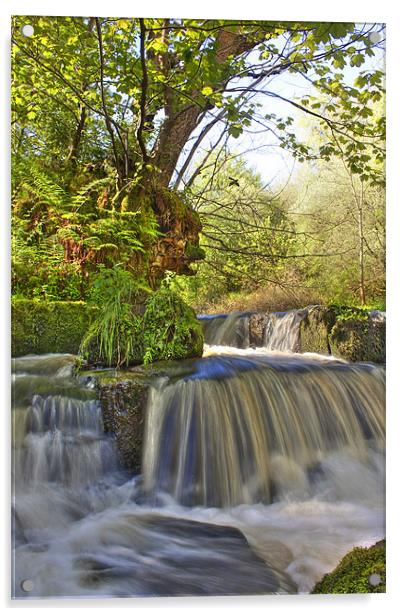 Water fall in Scotland Acrylic by Paul Messenger