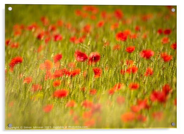 Poppy field Acrylic by Simon Johnson