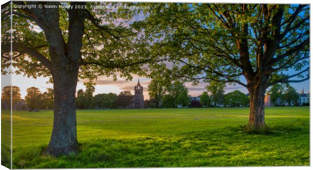 Evening Light on the South Inch, Perth Canvas Print by Navin Mistry