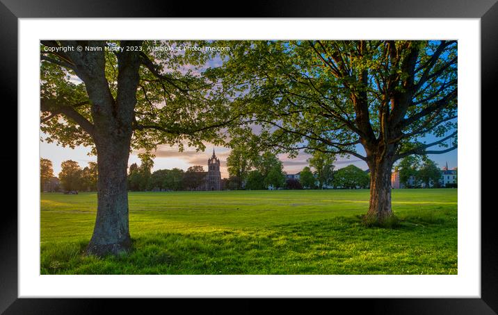 Evening Light on the South Inch, Perth Framed Mounted Print by Navin Mistry