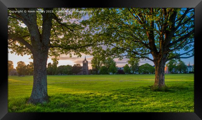 Evening Light on the South Inch, Perth Framed Print by Navin Mistry