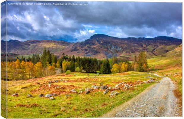 A view of Glen Lednock, Perthshire Canvas Print by Navin Mistry