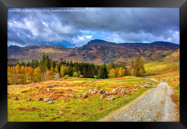 A view of Glen Lednock, Perthshire Framed Print by Navin Mistry