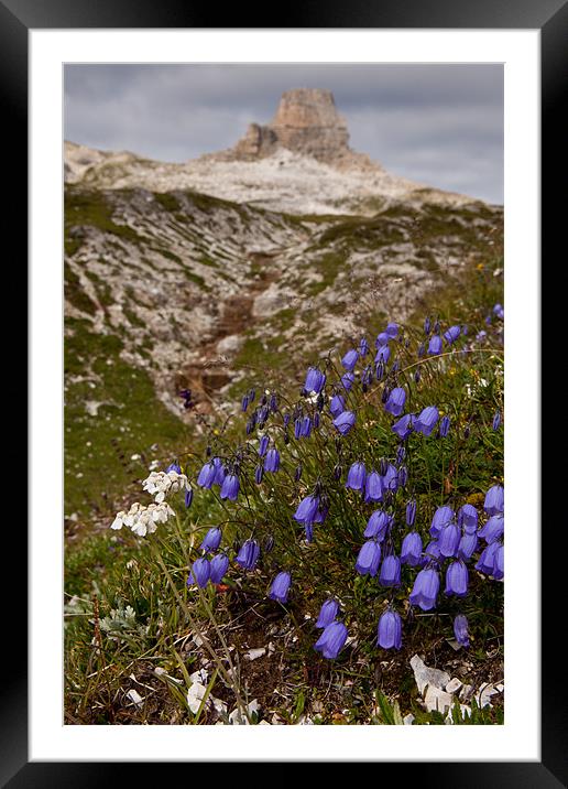 Blooming moutains Framed Mounted Print by Thomas Schaeffer