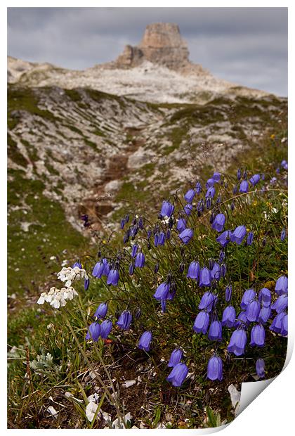 Blooming moutains Print by Thomas Schaeffer