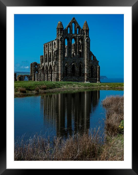 Whitby North Yorkshie Framed Mounted Print by Tom Lloyd
