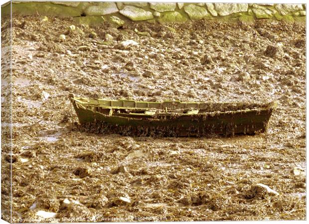 Barnacle Boat Canvas Print by Andrew Middleton