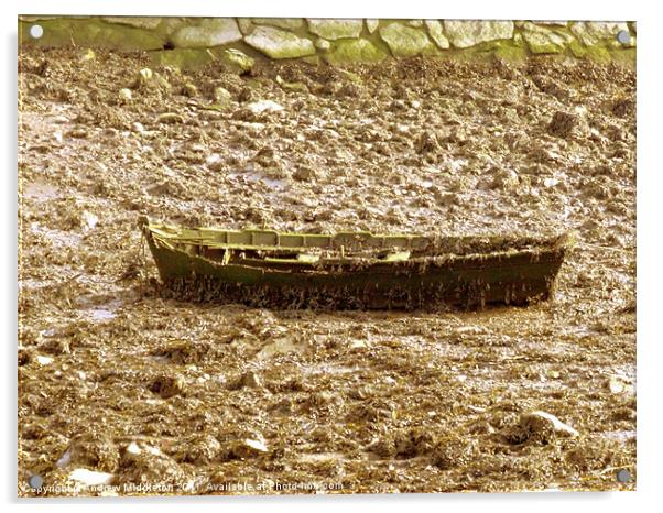 Barnacle Boat Acrylic by Andrew Middleton