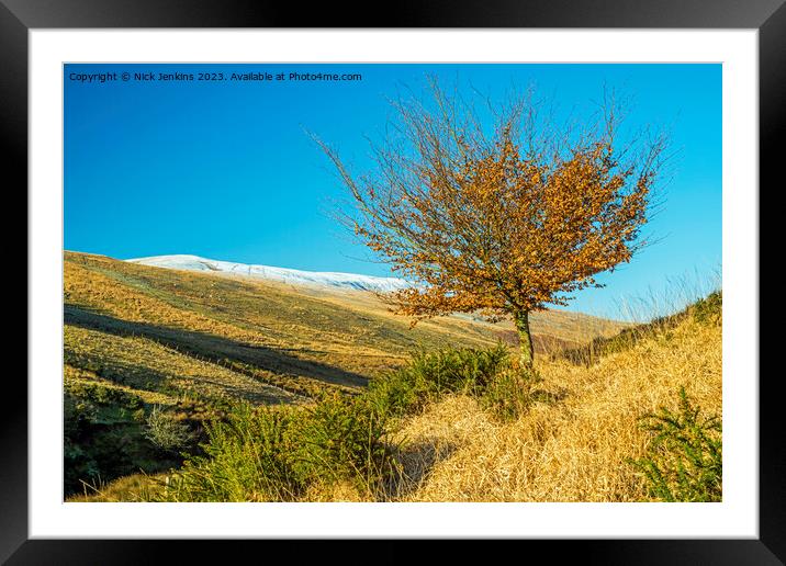 Beech Tree in Llia Valley Fforest Fawr Brecon Beacons Framed Mounted Print by Nick Jenkins