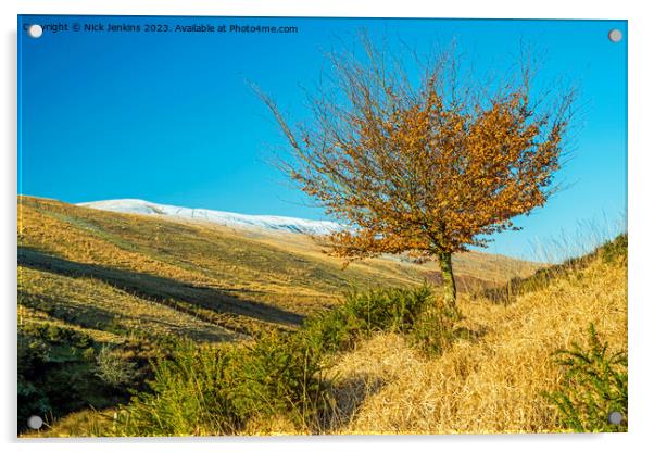 Beech Tree in Llia Valley Fforest Fawr Brecon Beacons Acrylic by Nick Jenkins