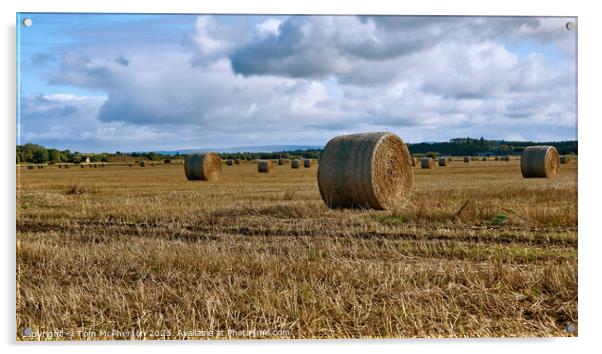 Golden Wheat Fields Acrylic by Tom McPherson