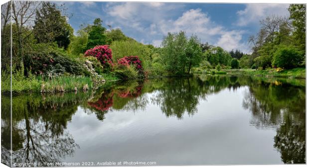 Reflections of Rhododendrons Canvas Print by Tom McPherson