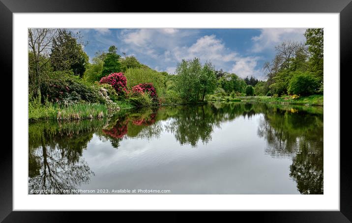 Reflections of Rhododendrons Framed Mounted Print by Tom McPherson