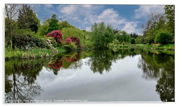 Reflections of Rhododendrons Acrylic by Tom McPherson