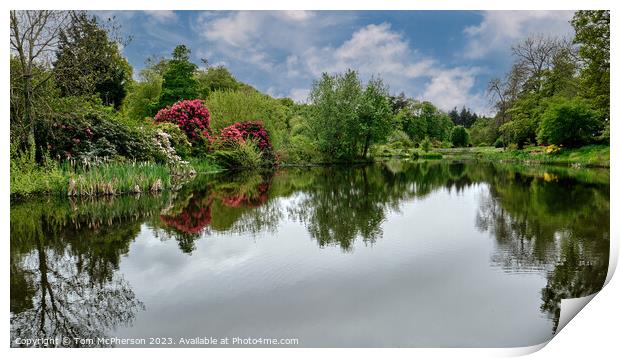 Reflections of Rhododendrons Print by Tom McPherson