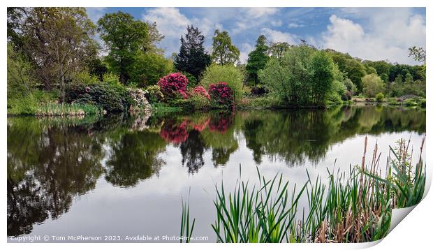 Serene Reflections at Burgie Print by Tom McPherson
