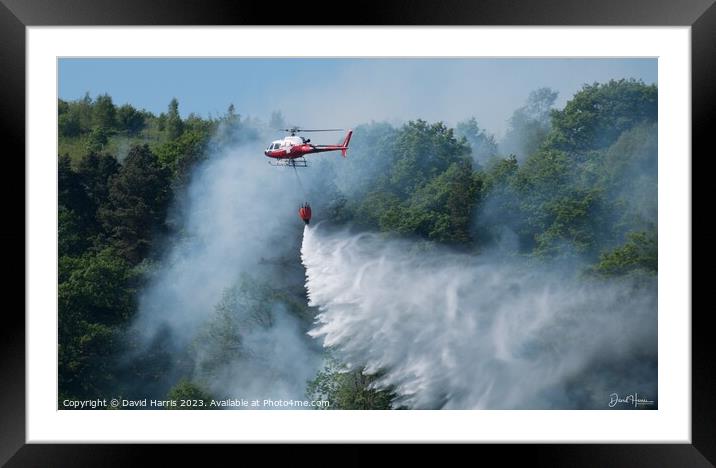 Forest Fire Framed Mounted Print by David Harris