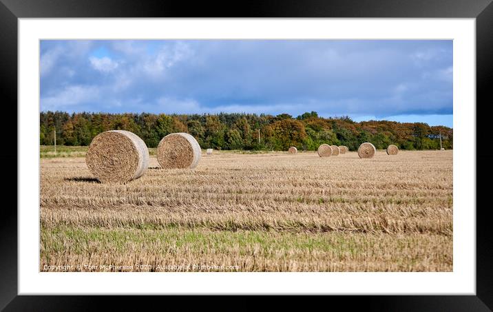 Golden Bales of Harvest Framed Mounted Print by Tom McPherson