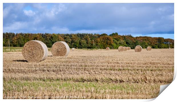 Golden Bales of Harvest Print by Tom McPherson