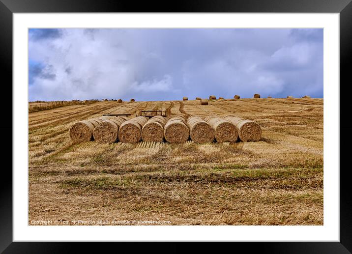 Harvesting Gold Framed Mounted Print by Tom McPherson