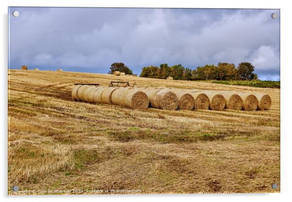 Golden Harvest Acrylic by Tom McPherson