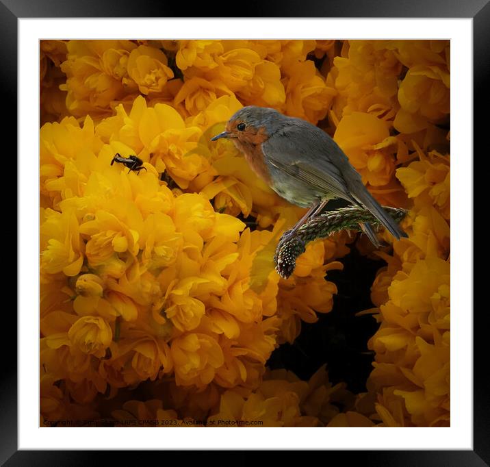 CONTEMPLATING LUNCH Framed Mounted Print by Tony Sharp LRPS CPAGB