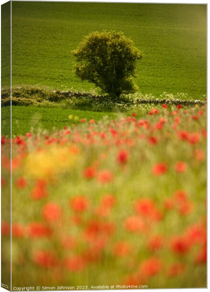 tree and poppy field Snowshill Cotswolds Gloucestershire  Canvas Print by Simon Johnson