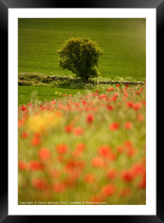 tree and poppy field Snowshill Cotswolds Gloucestershire  Framed Mounted Print by Simon Johnson