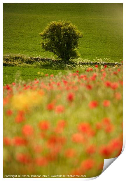 tree and poppy field Snowshill Cotswolds Gloucestershire  Print by Simon Johnson