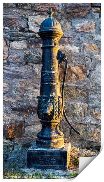 Victorian Cast-Iron Water Pump in Blackness Village Print by Douglas Milne
