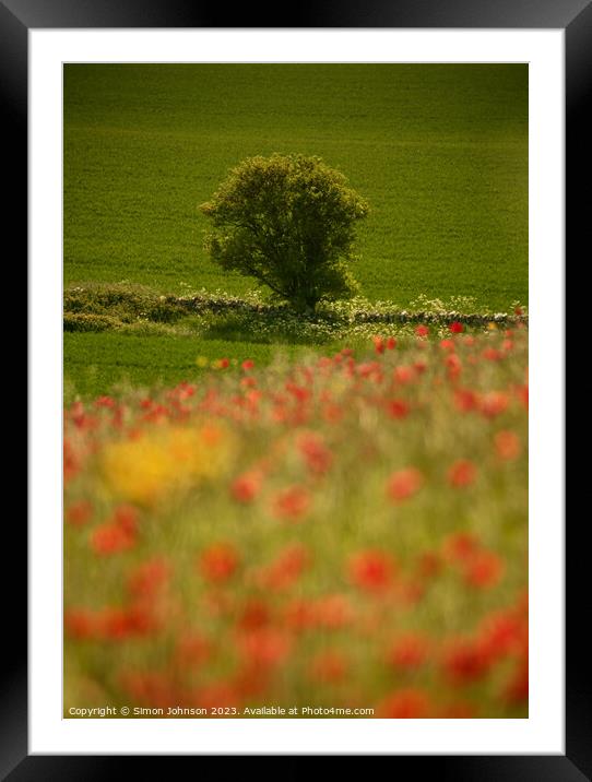 sunlit tree and Poppies Framed Mounted Print by Simon Johnson