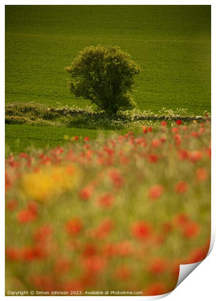 sunlit tree and Poppies Print by Simon Johnson