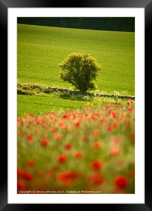 sunlit tree and poppies Framed Mounted Print by Simon Johnson