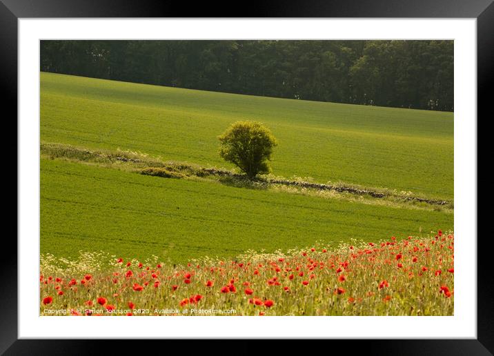  tree and Poppy field Framed Mounted Print by Simon Johnson
